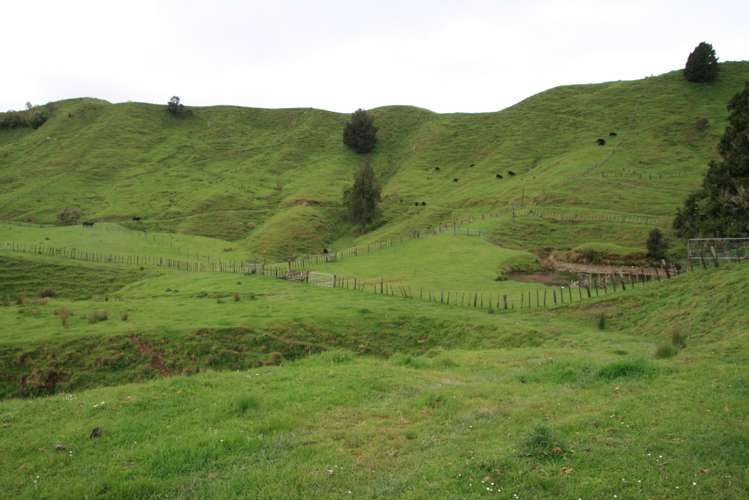 200 Tahora Road Tahora_14