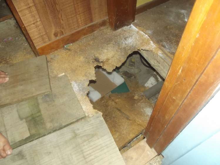 37 Johnston Road Kawakawa_5