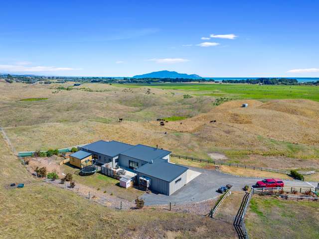 174 Harakeke Road Te Horo_3