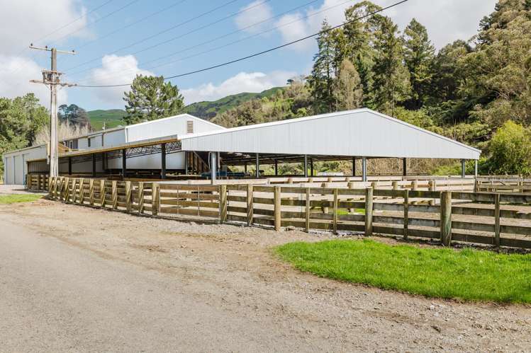 514a Totara Road Kumeroa_13