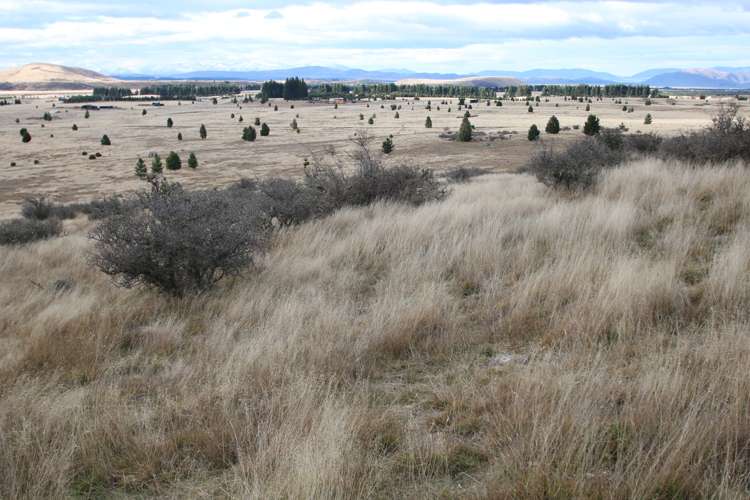 421 Manuka Terrace Twizel_9