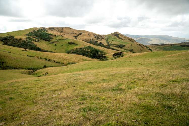 1320 Hunt Road Catlins Surrounds_20