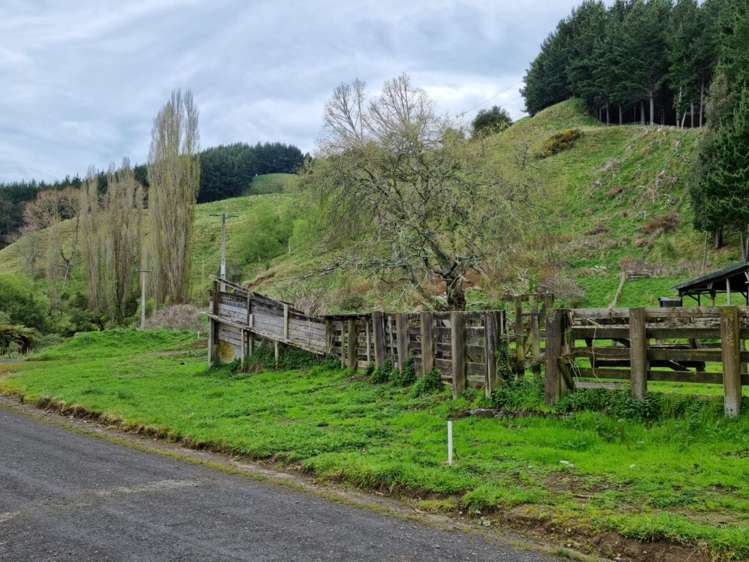 568 Morea Road Hawera_17