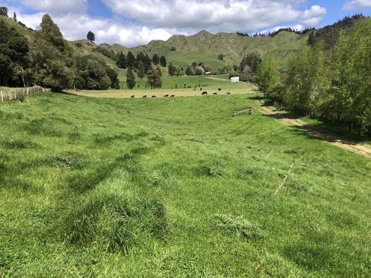 1041 Paparoa Road Whanganui National Park_22