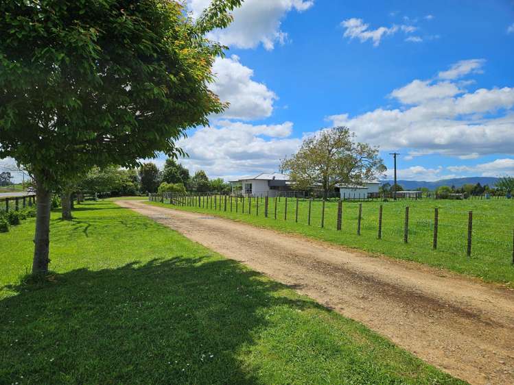 558 Harwoods Road Tirau_5