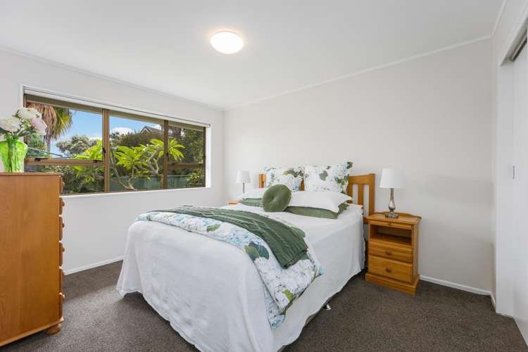 20b Homestead Road Manly_9