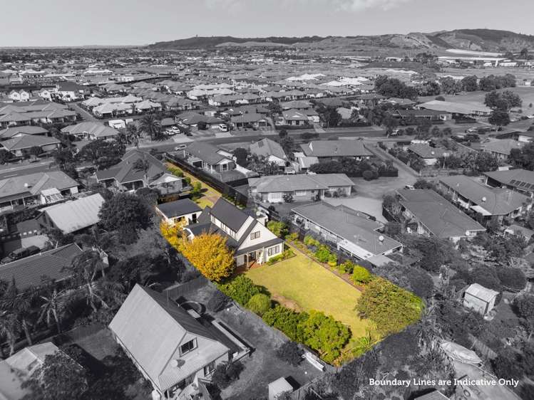 39 Hibiscus Avenue Mt Maunganui_2