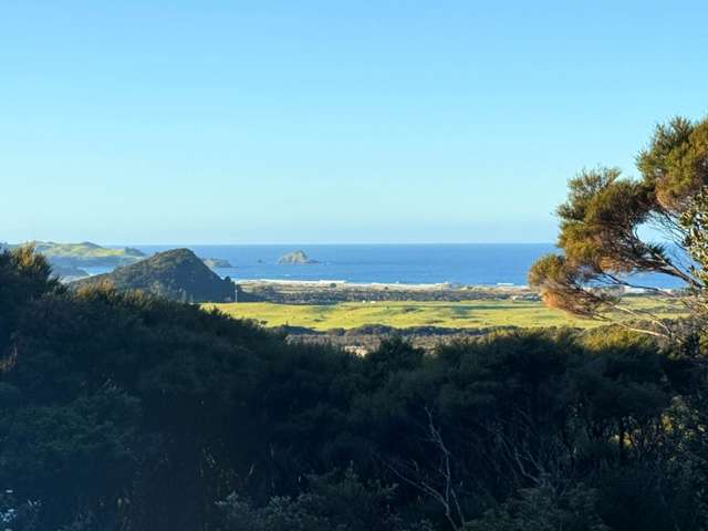 1/56 Kaitoke Lane Great Barrier Island_1