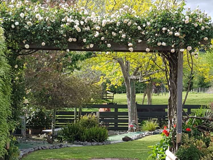 62 River View Road Morrinsville_23