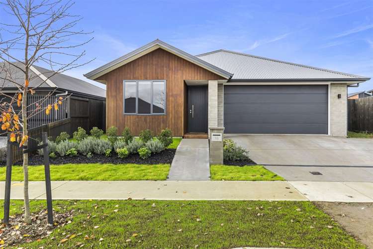 16 Morrin Street Morrinsville_11