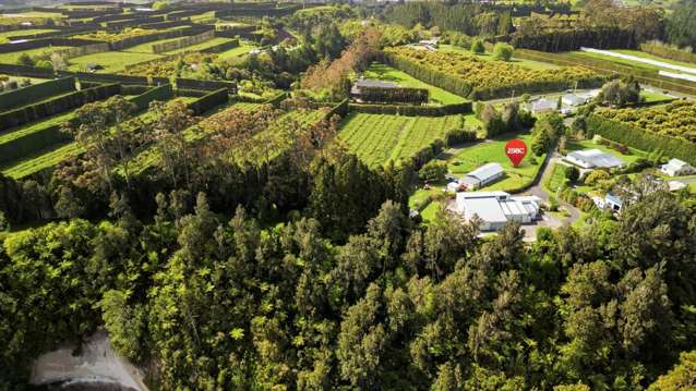 298C Belk Road Omanawa_2