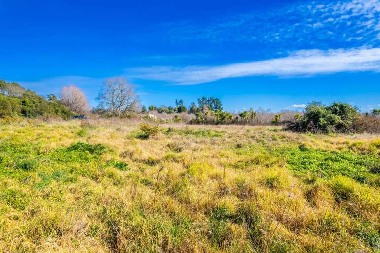 Rotowaro Road Huntly_22