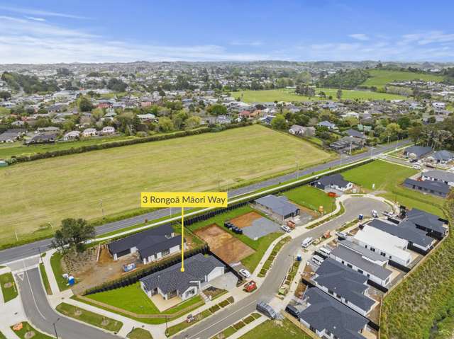 3 Rongoa Maori Way Pukekohe_1