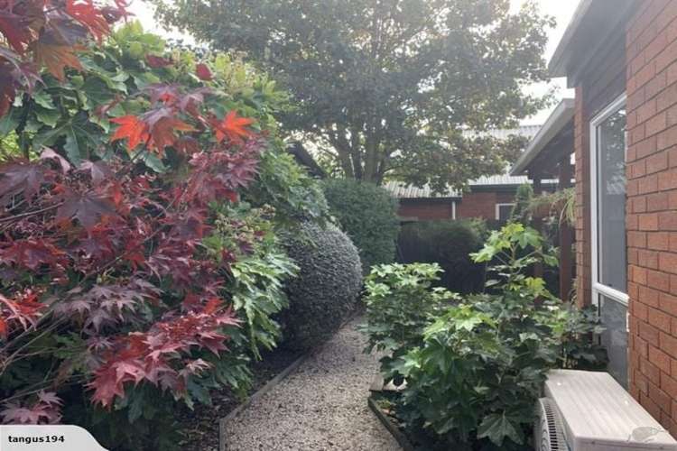 69 Maidstone Road Ilam_10