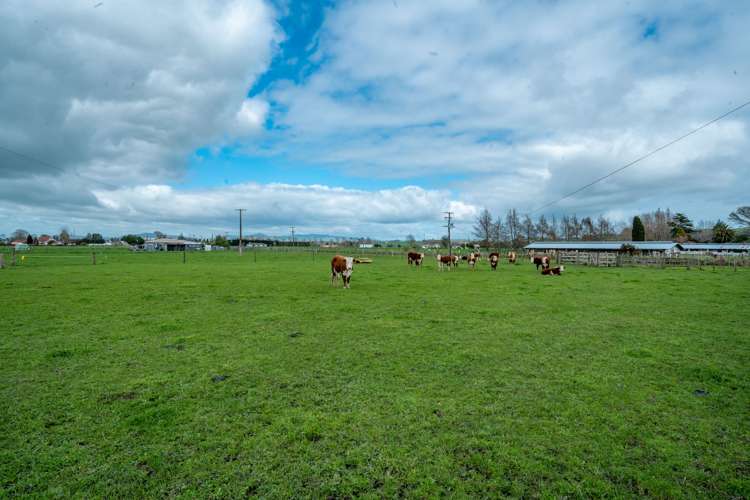 3 Kereone Road Morrinsville_5