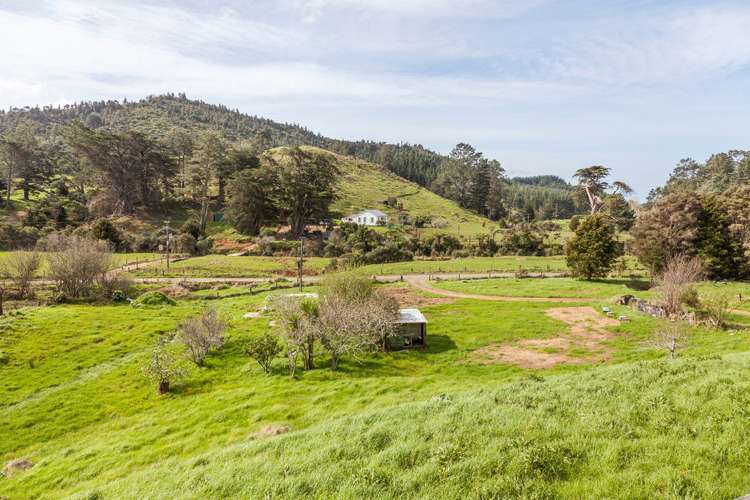 217 Kaimarama Road Kaimarama_11