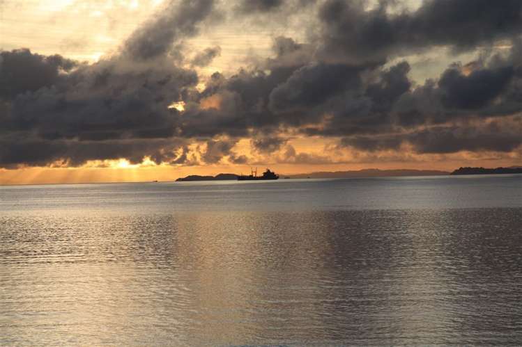 6/4 Arkles Strand Arkles Bay_10