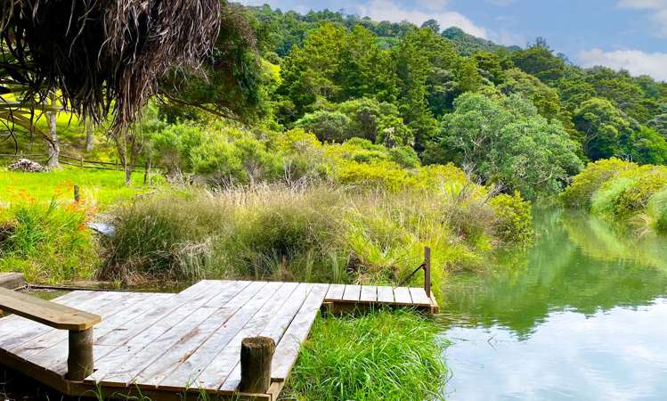 59 Ashton Road & Birdsall Road, Whangateau Leigh_18