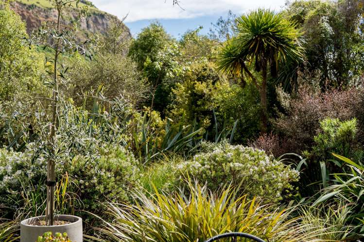 17 Moana Street Aramoana_37