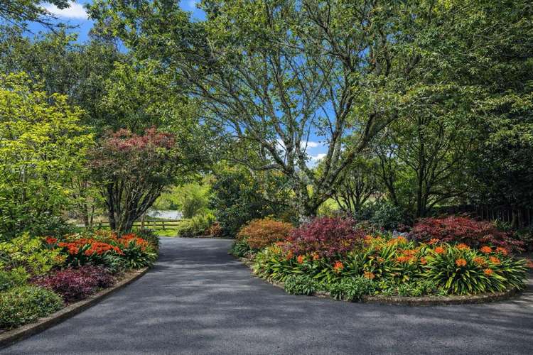 807 Dairy Flat Highway Dairy Flat_13