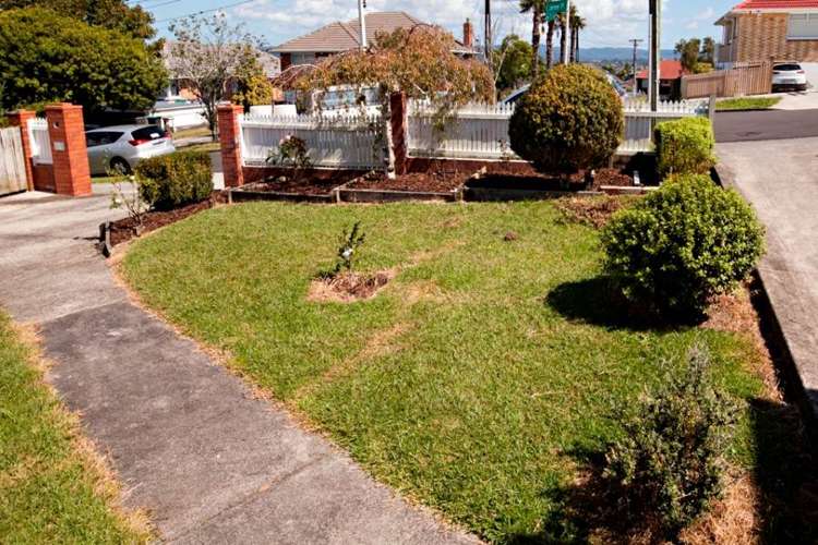 29 Pinewood Street Avondale_20