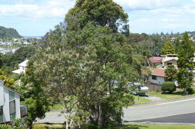 117 Waireka Place Whangamata_1