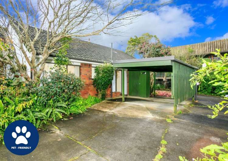 3/5 The Terrace Takapuna_0