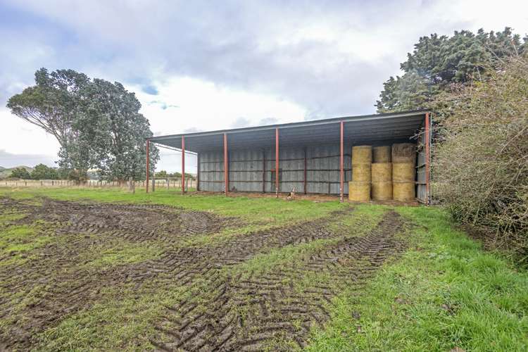 125 Jackson Road Kumeroa_14