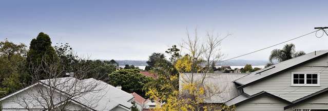 14 Ranleigh Road Mount Albert_2