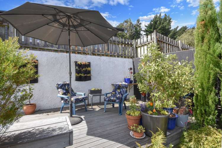 1 Shanks Street Green Island_13