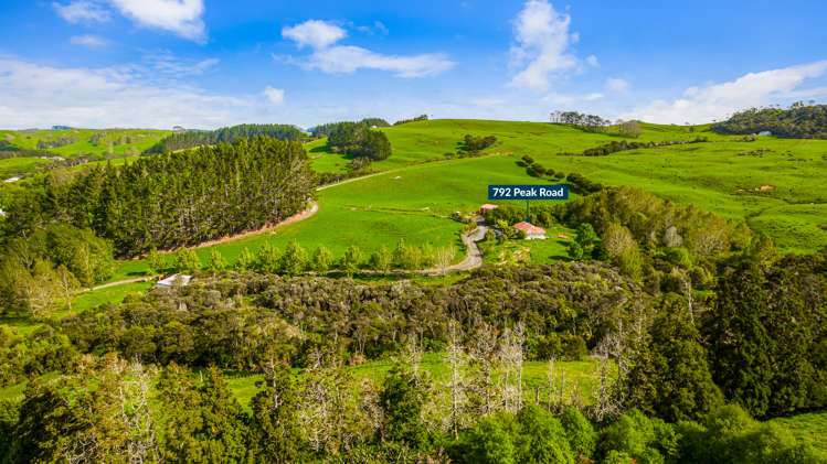 764 Peak Road Helensville_31