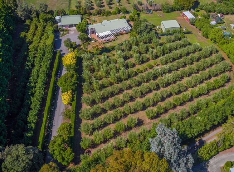 16 Beatrice Street Rarangi_1