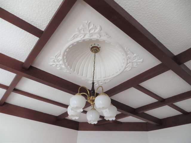 8 Carlyle Street Te Aroha_4