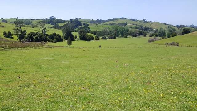 Matakana Valley Road Matakana_4