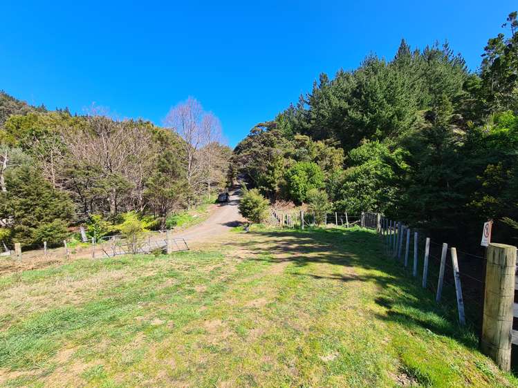 110 Wood Road, Colville Coromandel_18