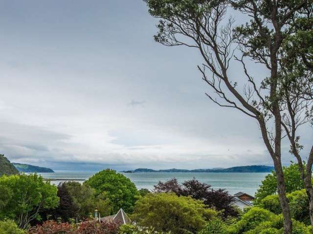 19 Dillon Street Lowry Bay_2