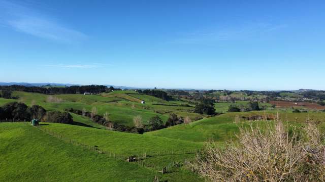 336 Dominion Road Tuakau_3