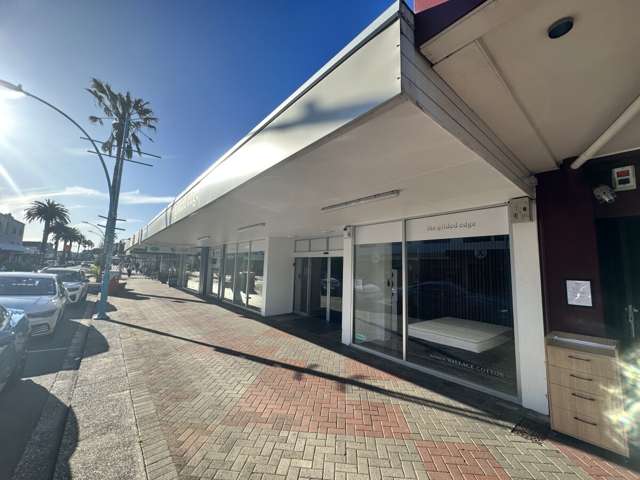 159 Maunganui Road Mount Maunganui_3