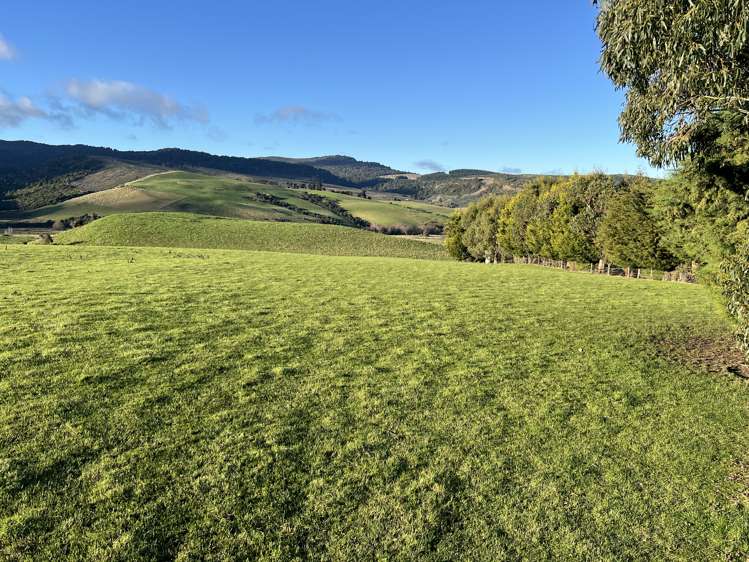 295 Stirling Road Winton Surrounds_9