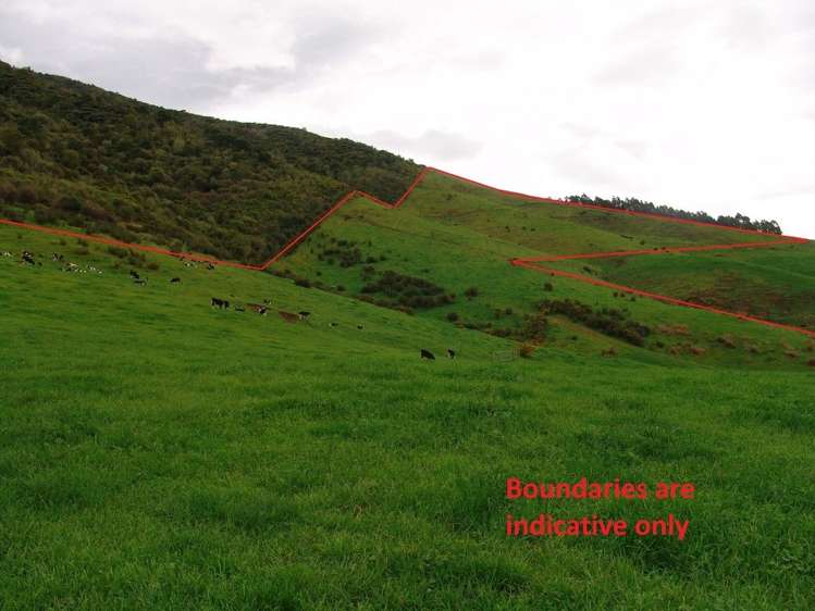 246 Kakepuku Road Te Awamutu_6