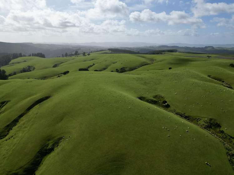 759 Waitahuna Gully Road Manuka Creek_25