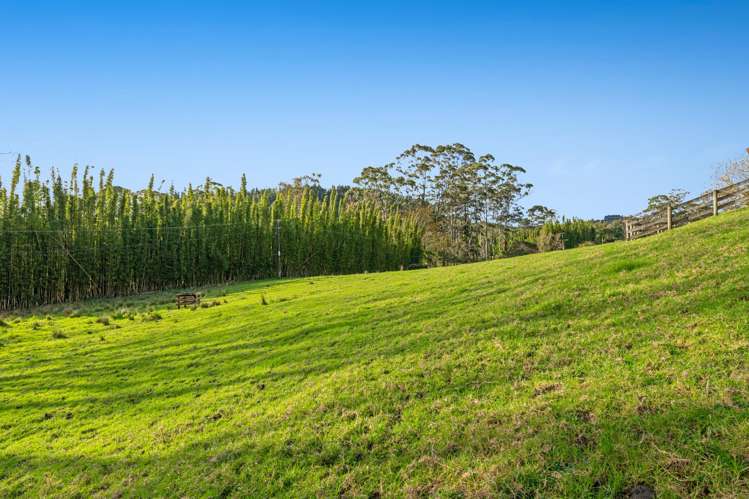 11 Pineview Lane Helensville_35