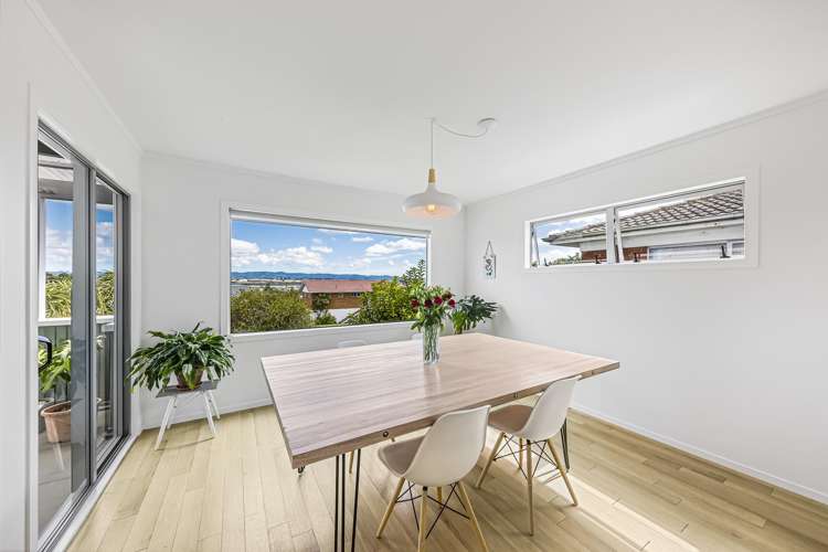 1 Maryland Street Point Chevalier_10