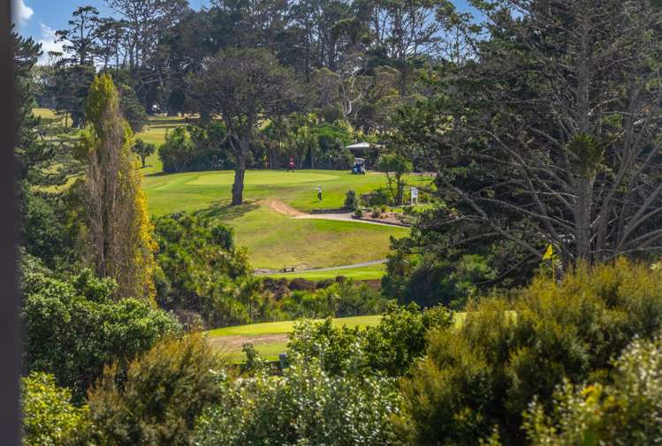 4 Patros Place Bucklands Beach_37