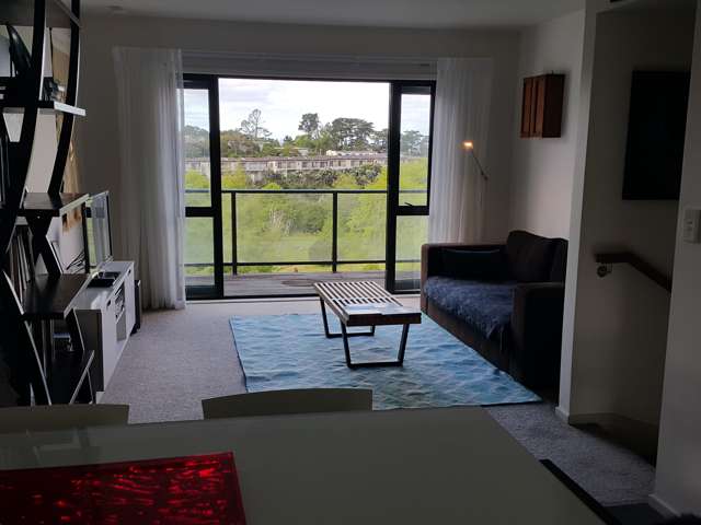 3j Laxon Terrace Remuera_3