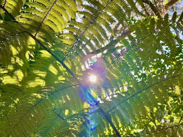 5 View Road Ostend_2