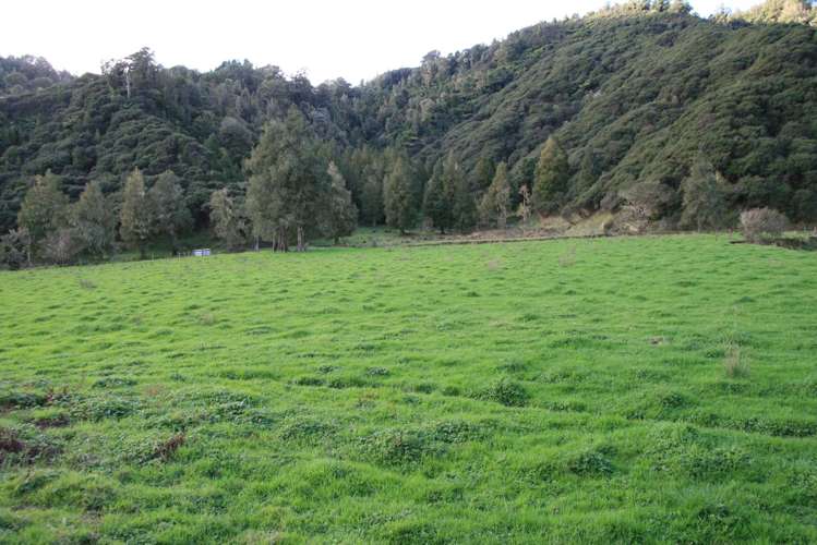 0n Mangaonga Road Ahititi_8