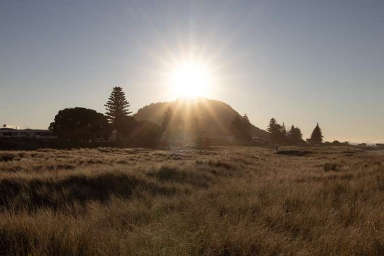 18A Muricata Avenue Mt Maunganui_34