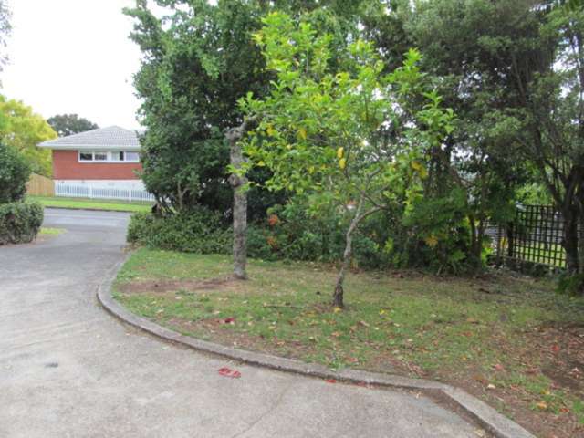 2 Laurelwood Avenue Pukekohe_1