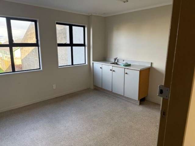 65 Nelson Street Petone_4